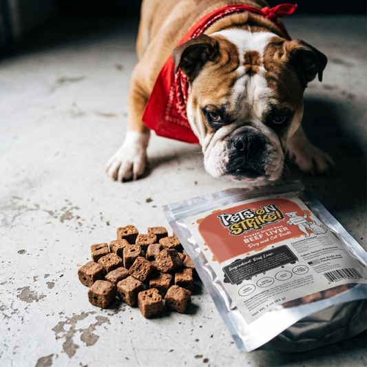 Dog with a red bandana looking at a package of Pet Side Steak beef liver treats on a concrete floor.