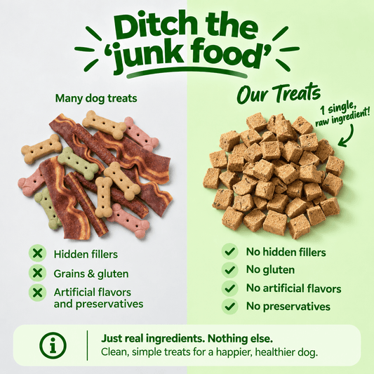 Freeze Dried Raw Bison Liver - Pets On Strike
