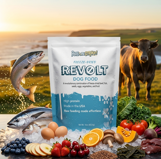 Revolt Freeze-Dried Dog Food with fish, vegetables, and fruits, featuring a scenic background of nature.