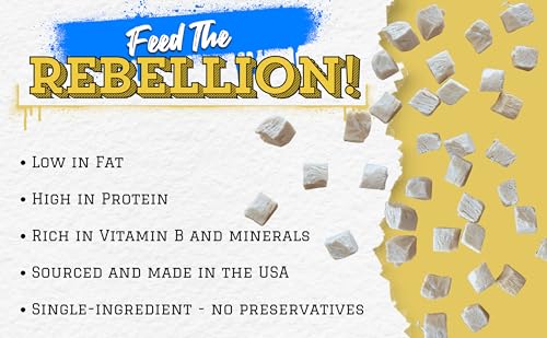 Freeze Dried Raw Chicken Breast