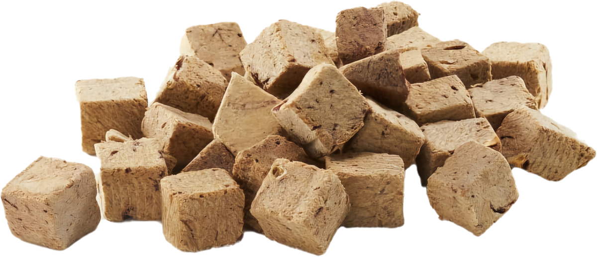 A closeup image of freeze dried dog food cubes showing the detail of the product