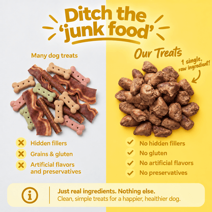 Freeze Dried Raw Chicken Hearts - Pets On Strike