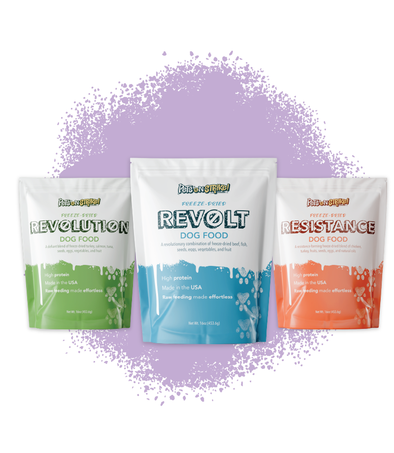 Three stand-up pouches of Revolt dog food arranged in a row on a white background with a purple paint-splatter graphic behind them. The left pouch is labeled Revolution with a green lower section, the center pouch is labeled Revolt with a blue lower section, and the right pouch is labeled Resistance with an orange lower section.