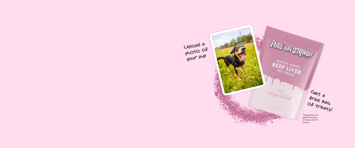 Pink banner graphic promoting a free treat offer