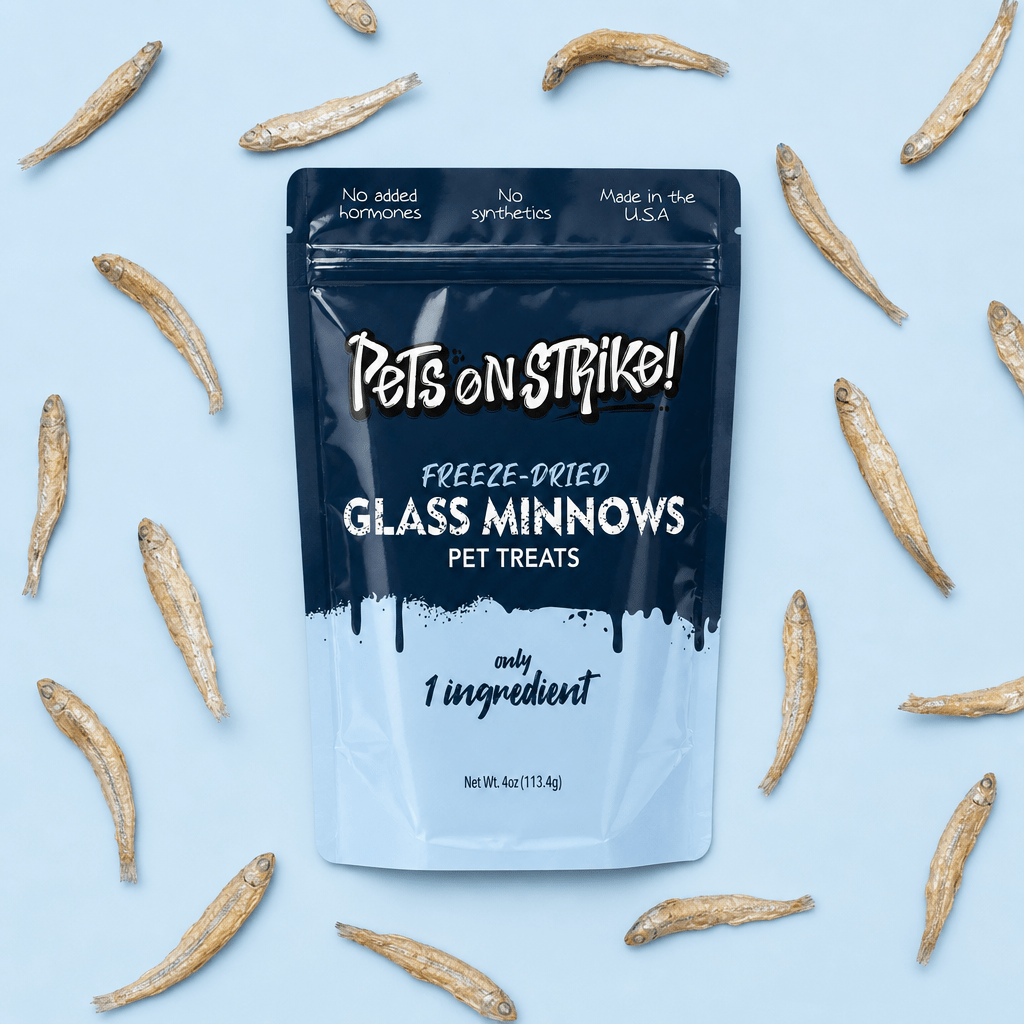 Freeze Dried Glass Minnows - Pets On Strike