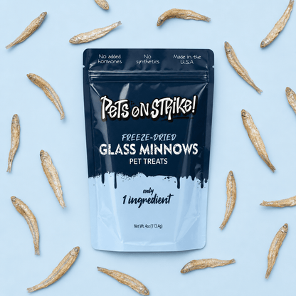 Freeze Dried Glass Minnows - Pets On Strike