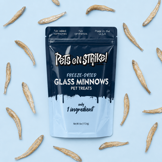 Freeze Dried Glass Minnows - Pets On Strike