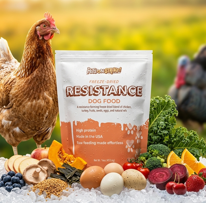 A bag of Resistance Freeze-Dried Dog Food is displayed on ice with a brown hen, fresh vegetables, eggs, and fruits around it against a blurred yellow-green outdoor background.