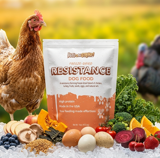 A bag of Resistance Freeze-Dried Dog Food is displayed on ice with a brown hen, fresh vegetables, eggs, and fruits around it against a blurred yellow-green outdoor background.
