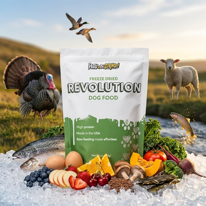 A bag of Revolution Freeze Dried Dog Food by stands on ice in a farm scene with a turkey, sheep, fish, eggs, and fresh vegetables around it.
