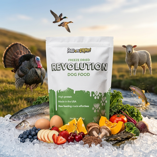A bag of Revolution Freeze Dried Dog Food by stands on ice in a farm scene with a turkey, sheep, fish, eggs, and fresh vegetables around it.