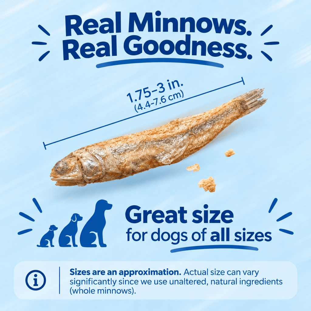 Freeze Dried Glass Minnows - Pets On Strike