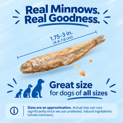 Freeze Dried Glass Minnows - Pets On Strike